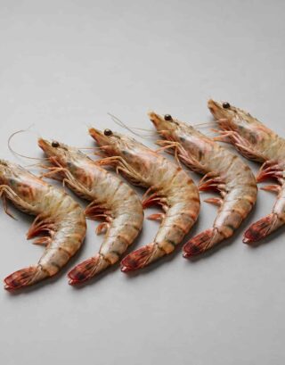 Fresh prawns arranged on a light background