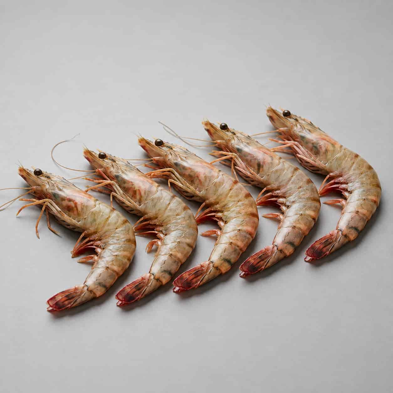 Fresh prawns arranged on a light background