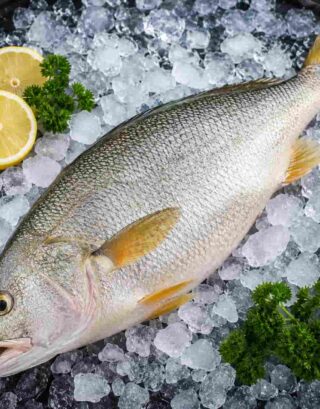 Fresh sea bass fish on ice with lemon and parsley